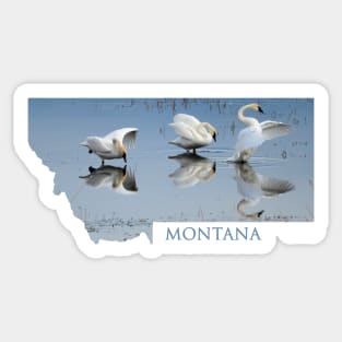 Montana- Dance of the Trumpeters Sticker